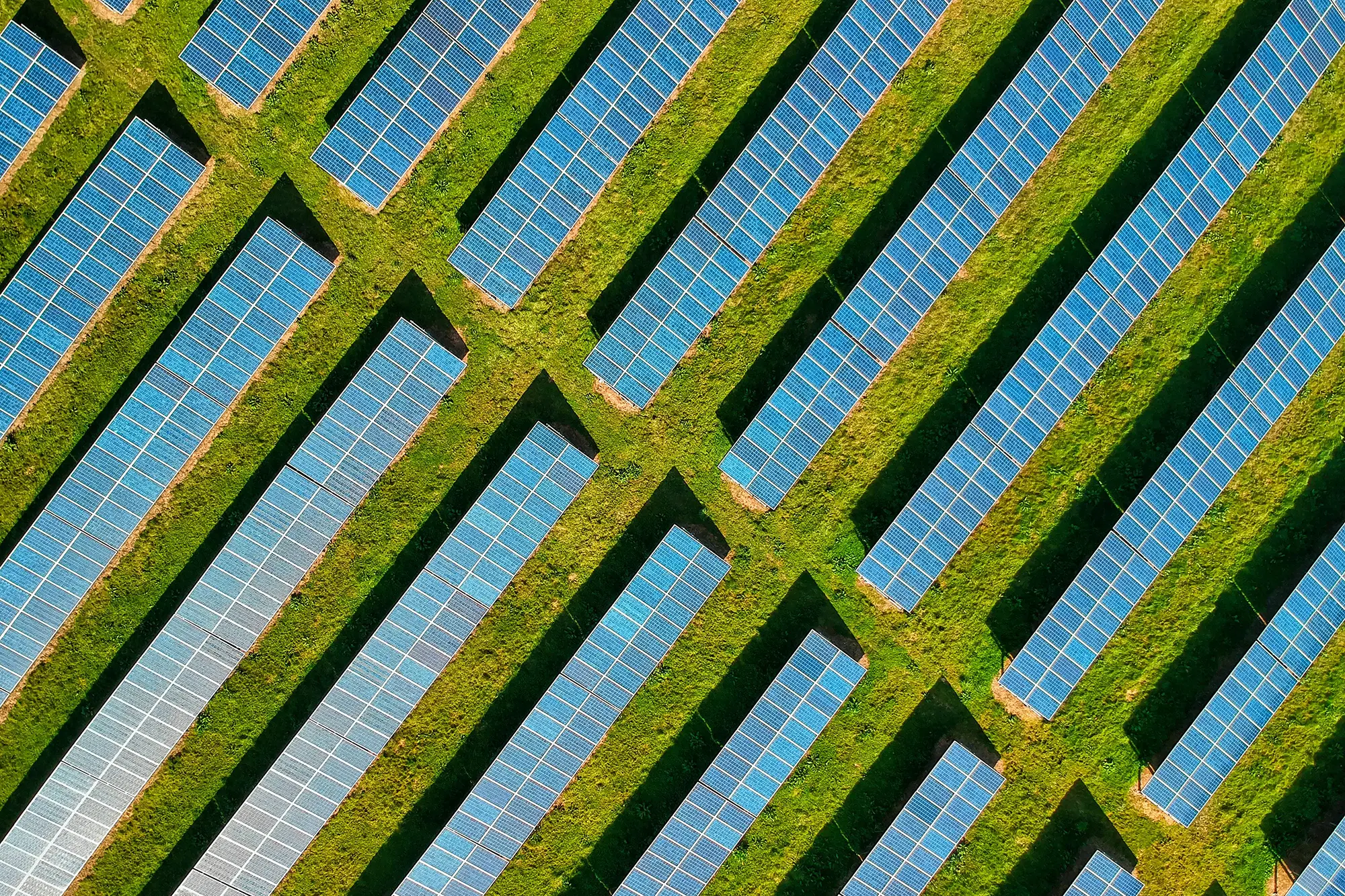 Renewable energy solar and wind farm diversification