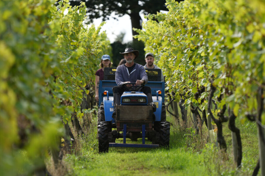Astley Vineyard embracing rural tourism