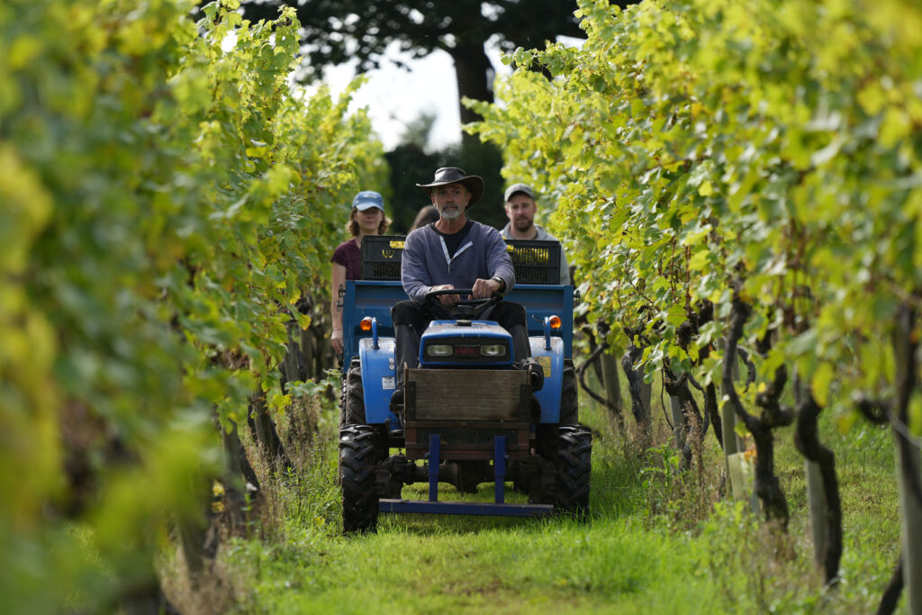 Astley Vineyard embracing rural tourism