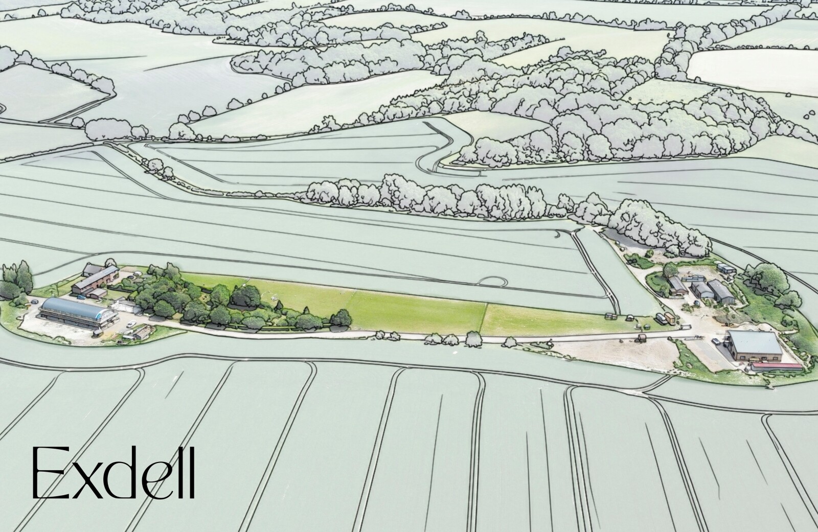 Insight article addressing Rural Diversification Strategy: “You mustn’t be afraid to dream a little bigger”